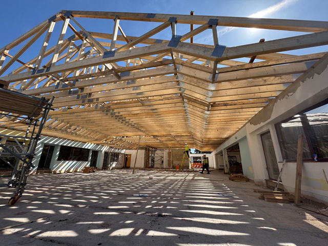 ceilings wood
